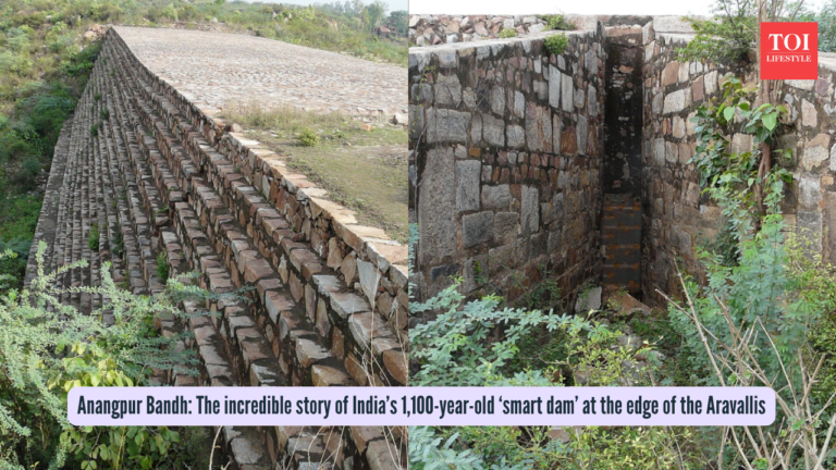 Discovering India's Ancient Smart Dam: Anangpur Bandh's Legacy
