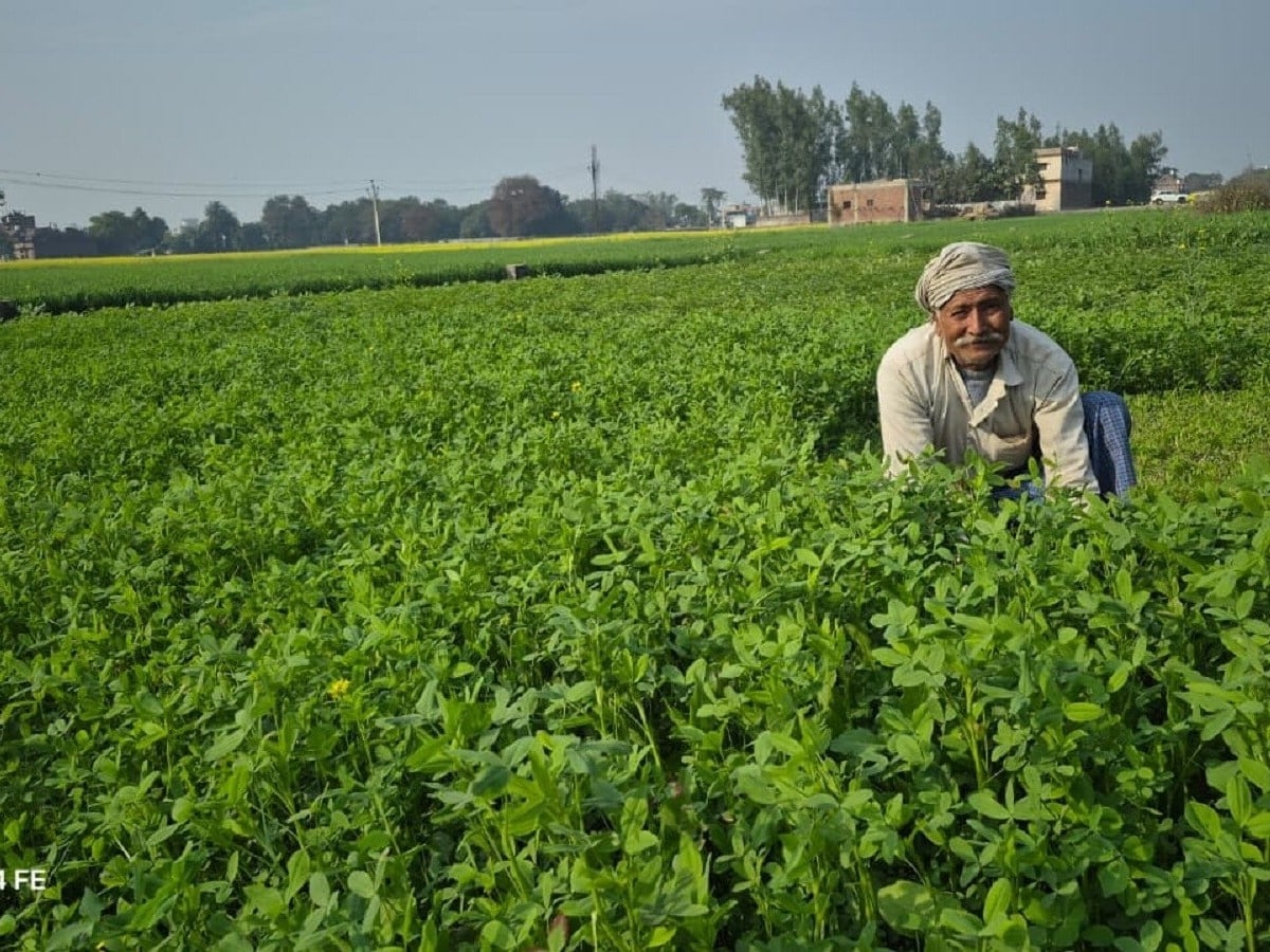 पीएम किसान की 22वीं किस्त: क्या आपका नाम सूची में है?