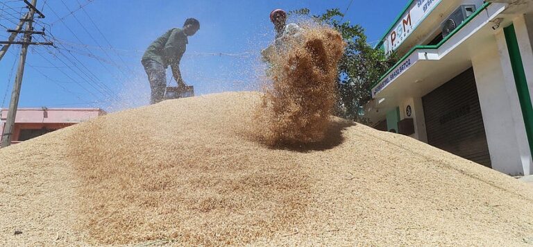 Telangana Government Challenges Rice Millers' Pleas on Diversion Cases