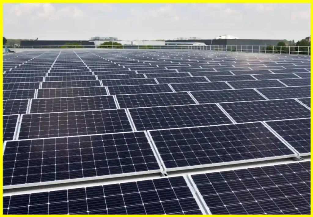 The Importance of C&I Renewable Energy for Today's Businesses