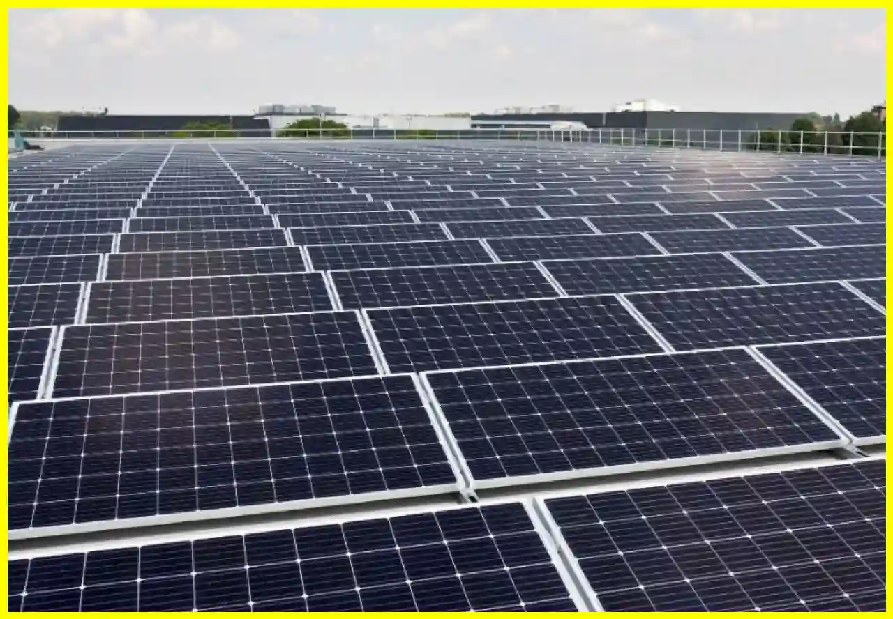 The Importance of C&I Renewable Energy for Today's Businesses