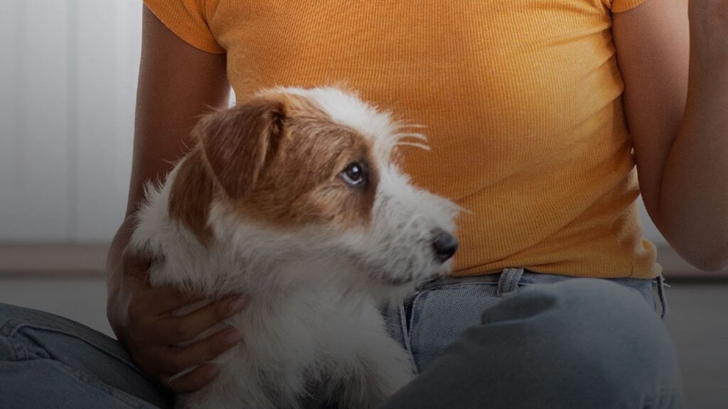 ₹1.6 लाख महीने की स्कूली शिक्षा: जानें इस अनोखे डॉग के बारे में