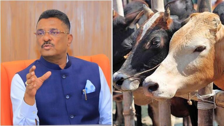 Maharashtra Intensifies Crackdown on Cow Smuggling Before Bakri Eid