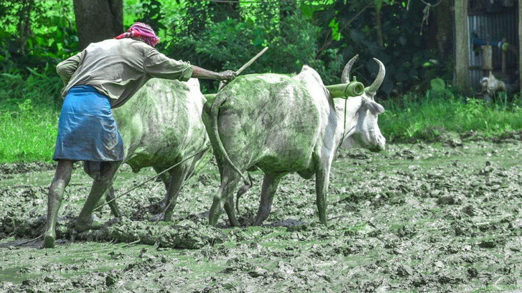 PM Kisan: 20 तारीख को करोड़ों क‍िसानों के खाते में आएंगे 2-2 हजार रुपये, इन क‍िसानों को म‍िलेंगे 4 हजार