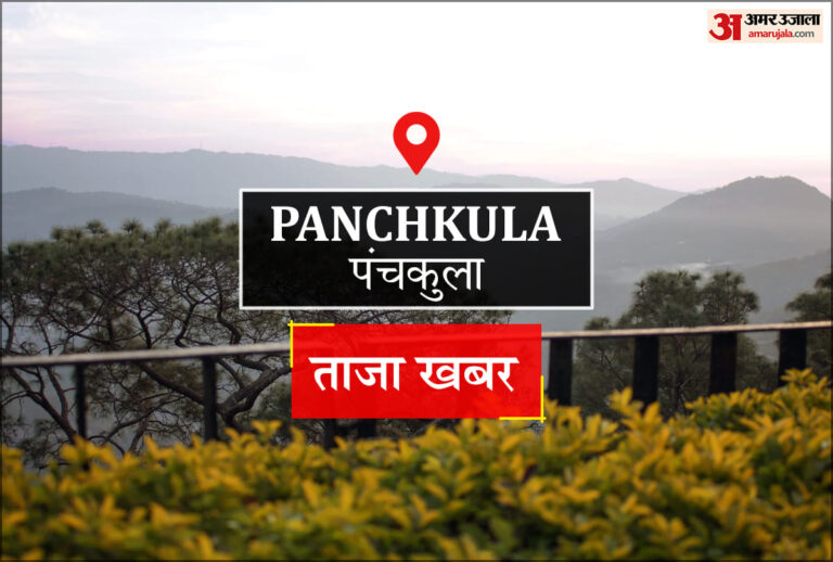 Panchkula News: एफएसएसएआई पंजीकरण शिविर में 30 कारोबारियों को मौके पर मिले प्रमाण पत्र