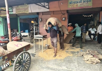 Hathras News: एमएसपी से कम दाम पर बिक रही मक्का, लुट रहे किसान