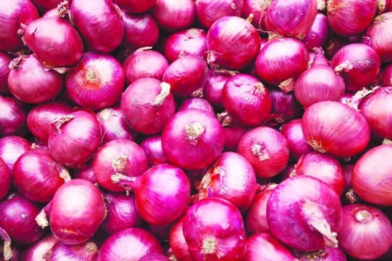 Onion Procurment Rate: सरकार ने बढ़ाई प्याज की खरीद कीमत, अब 2,125 रुपये प्रति क्विंटल मिलेगा भाव - dainiktribuneonline.com
