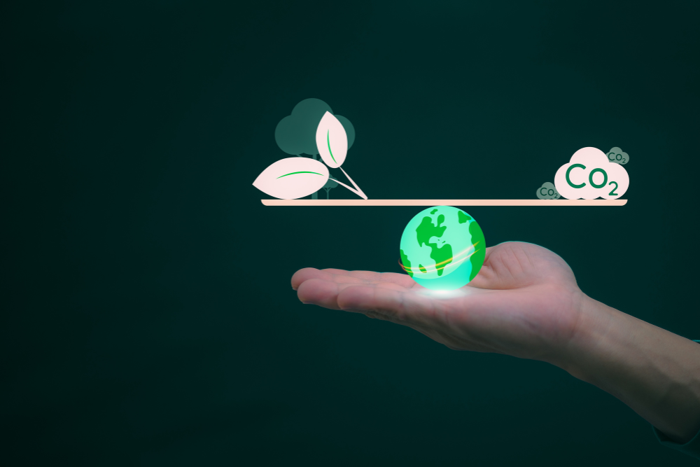 The institutions shaping carbon markets
